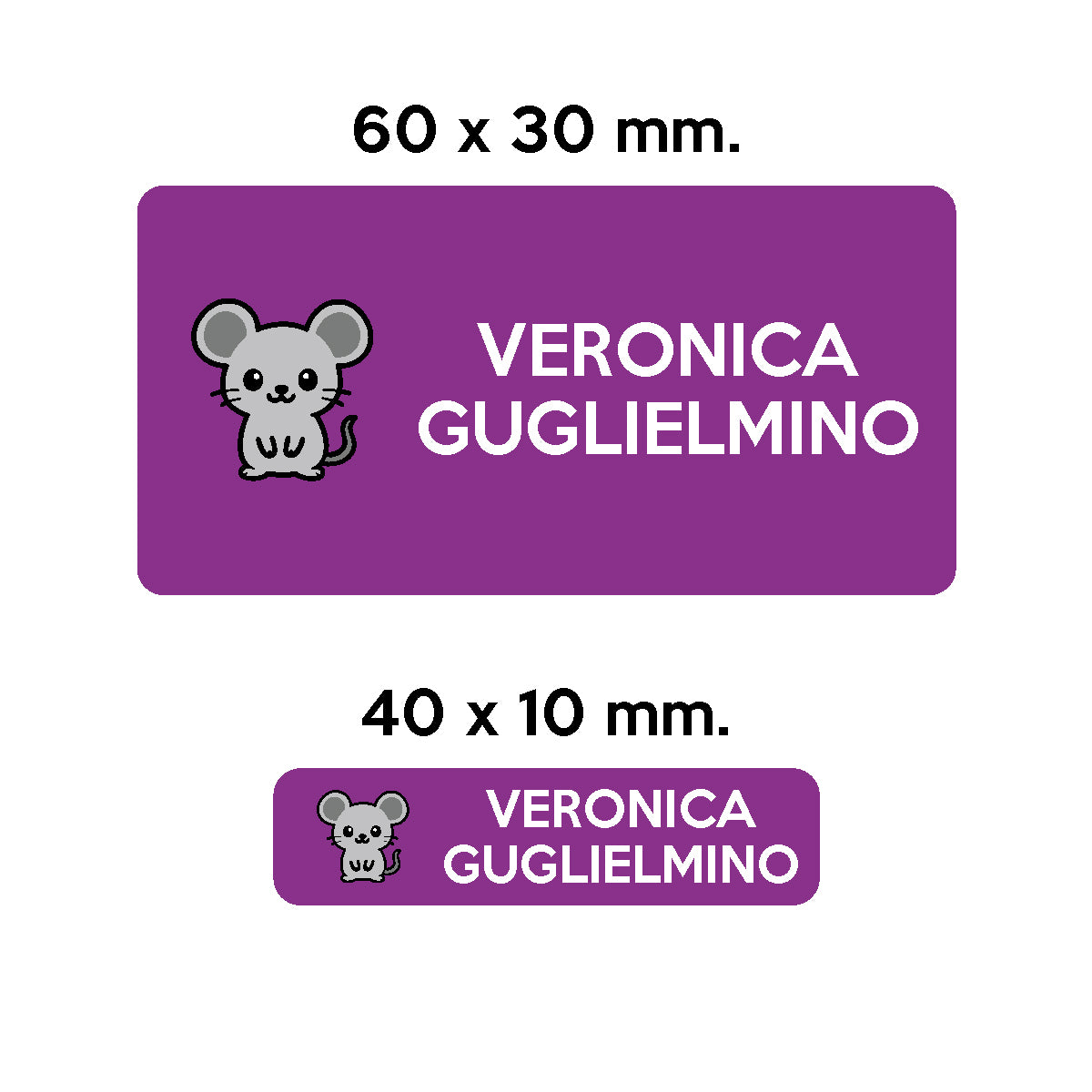 Compra viola BARRIERA&#39;S Stickers - set etichette personalizzabili scuola CENERE il Topolino