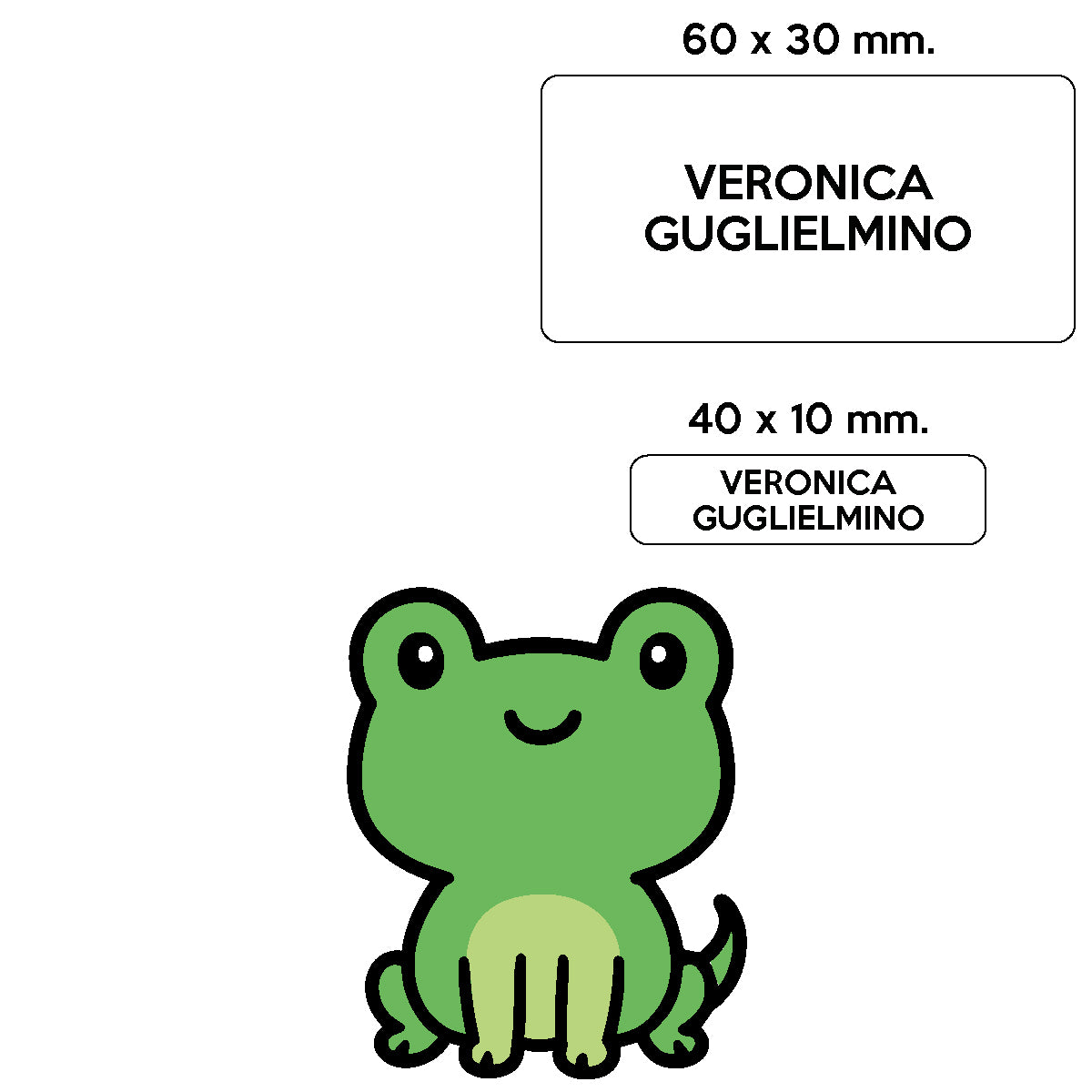 BARRIERA'S Stickers - set etichette personalizzabili scuola FRED il Ranocchio