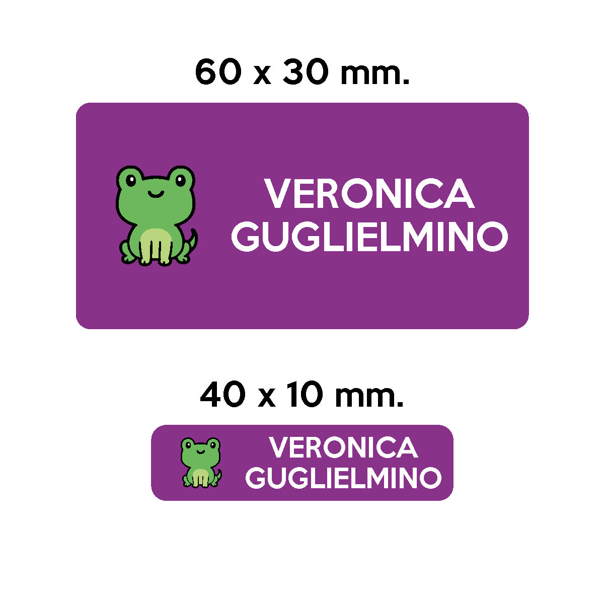 Compra viola BARRIERA&#39;S Stickers - set etichette personalizzabili scuola FRED il Ranocchio