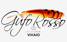 Logo concept vivaio 003
