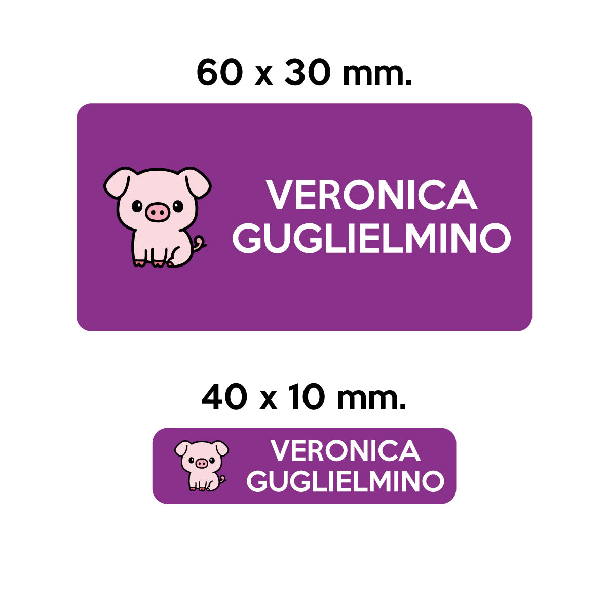 Compra viola BARRIERA&#39;S Stickers - set etichette personalizzabili scuola RICCIOLO il Maialino