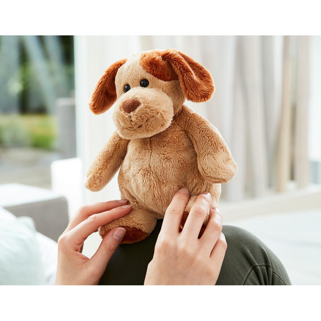 MBW - M160195 Dog Helge - 0