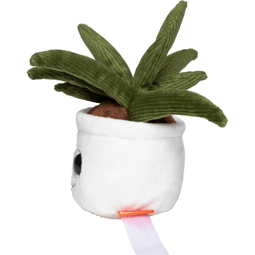 MBW - M160847 Schmoozies® Evergreenies® Aloe Vera - 0