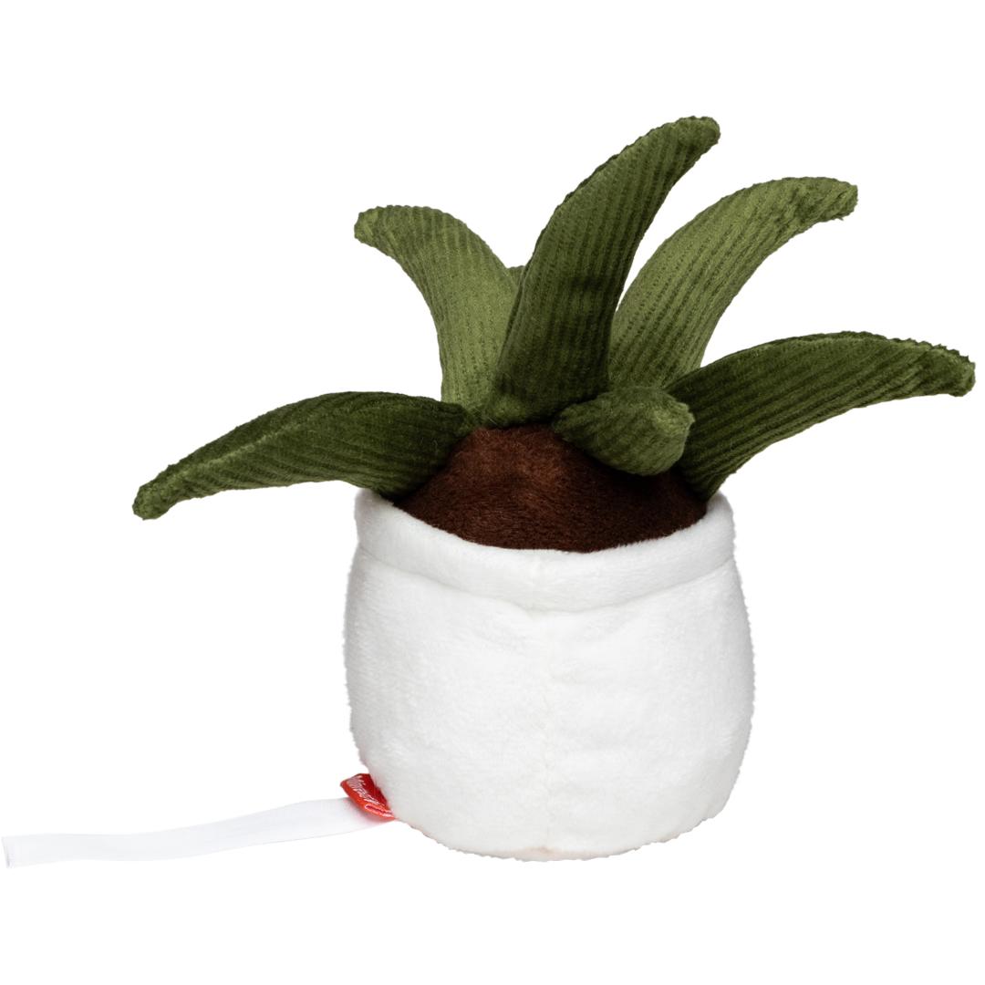 MBW - M160847 Schmoozies® Evergreenies® Aloe Vera