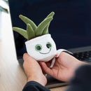 MBW - M160904 schmoozies® evergreenies® palm tree-2