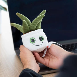 MBW - M160847 schmoozies® evergreenies® aloe vera - 0