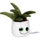 MBW - M160904 schmoozies® evergreenies® palm tree-5