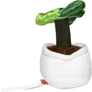 MBW - M160846 schmoozies® evergreenies® monstera-4