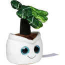 MBW - M160846 schmoozies® evergreenies® monstera-5