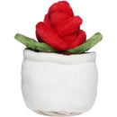MBW - M160906 schmoozies® evergreenies® rose-4