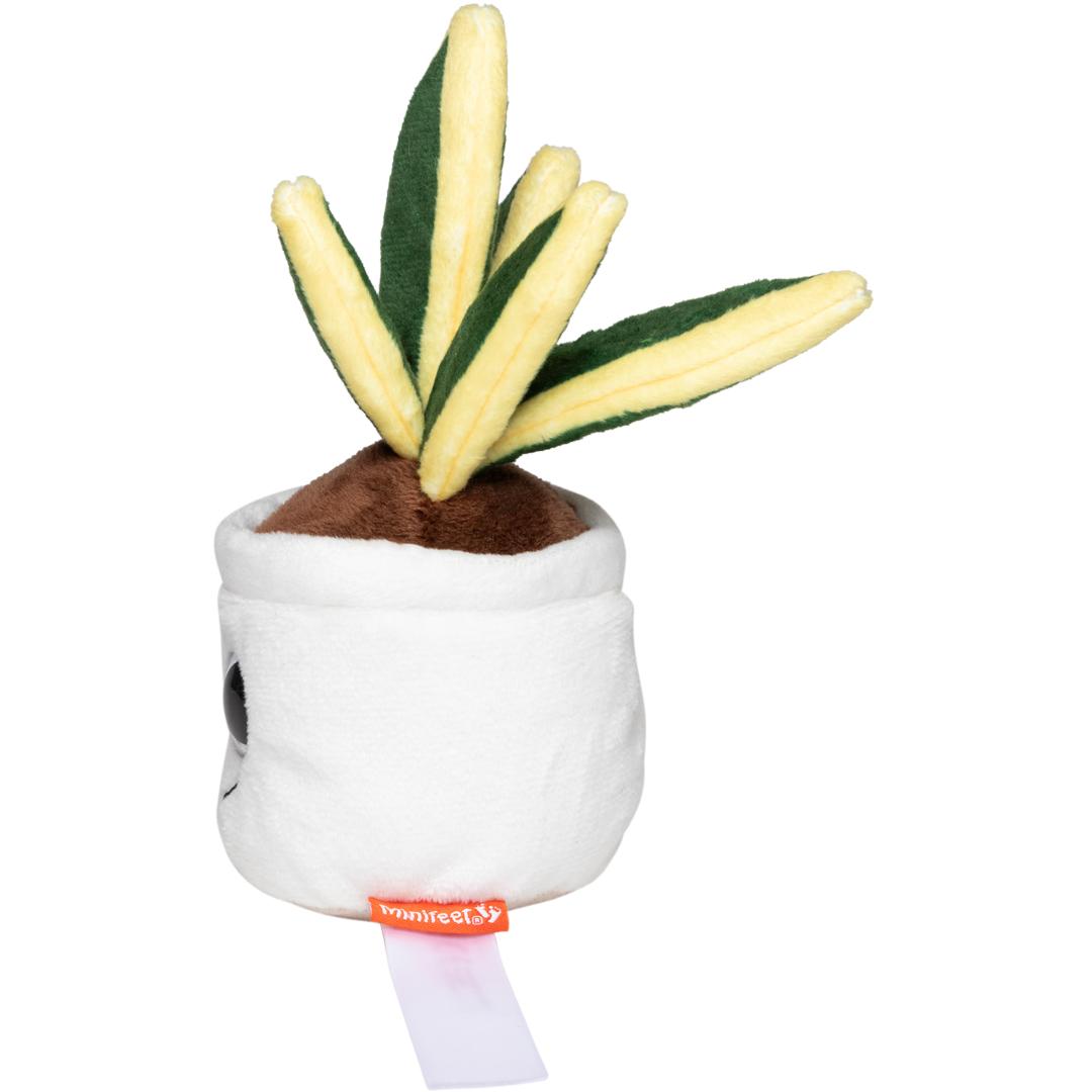 MBW - M160848 Schmoozies® Evergreenies® Snake Plant - 0