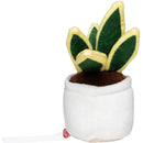 MBW - M160848 schmoozies® evergreenies® snake plant-4