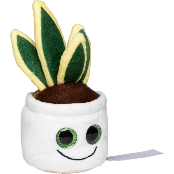 MBW - M160848 schmoozies® evergreenies® snake plant