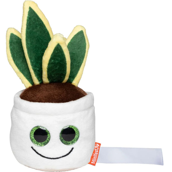 MBW - M160848 schmoozies® evergreenies® snake plant