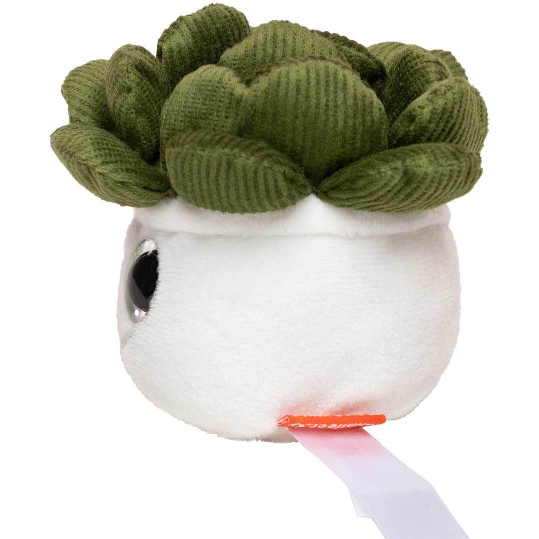 MBW - M160849 Schmoozies® Evergreenies® Succulent