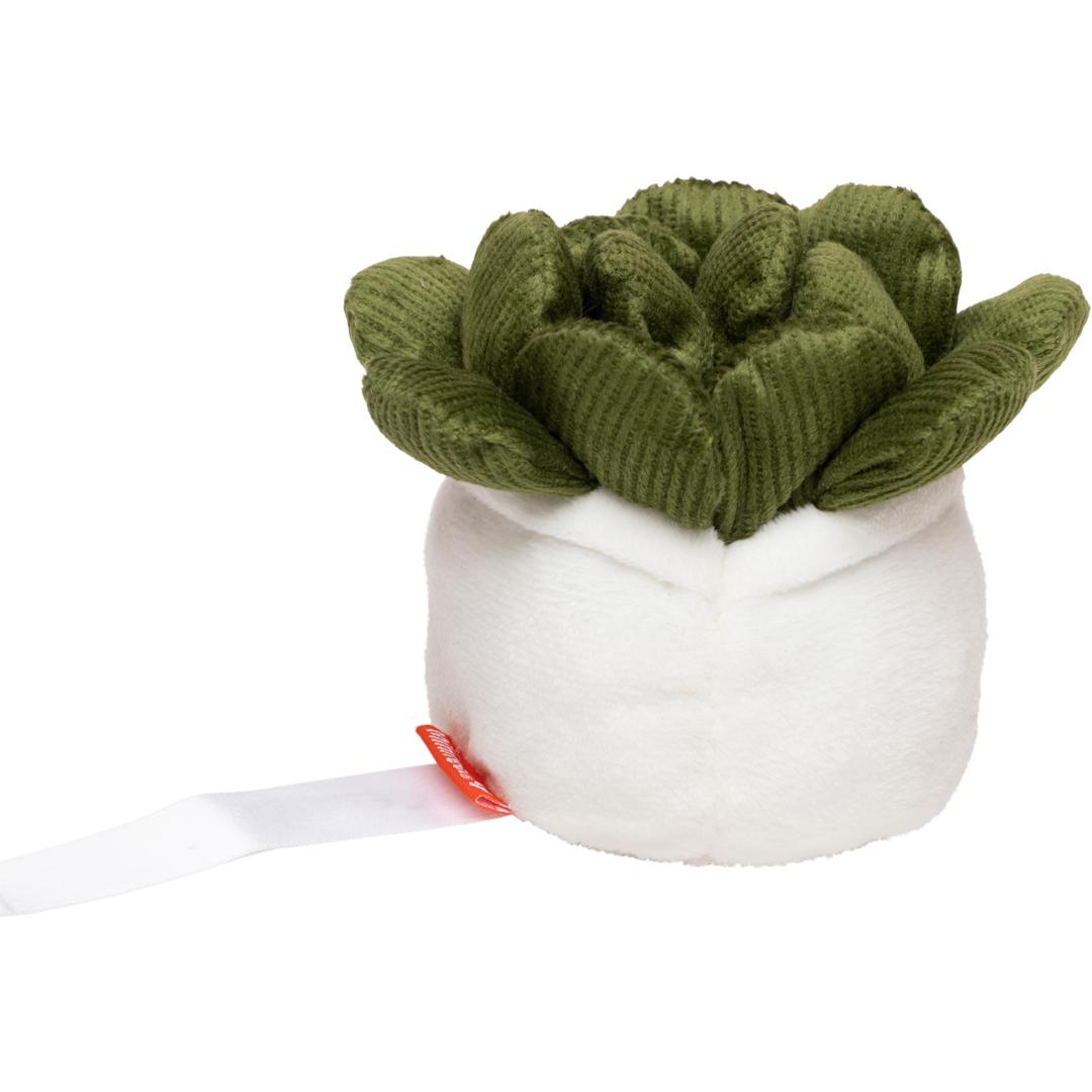 MBW - M160849 Schmoozies® Evergreenies® Succulent