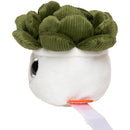MBW - M160849 schmoozies® evergreenies® succulent-3