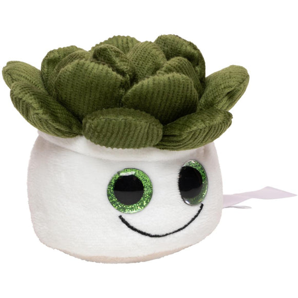 MBW - M160849 schmoozies® evergreenies® succulent