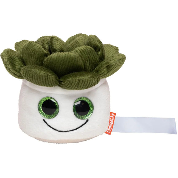 MBW - M160849 schmoozies® evergreenies® succulent